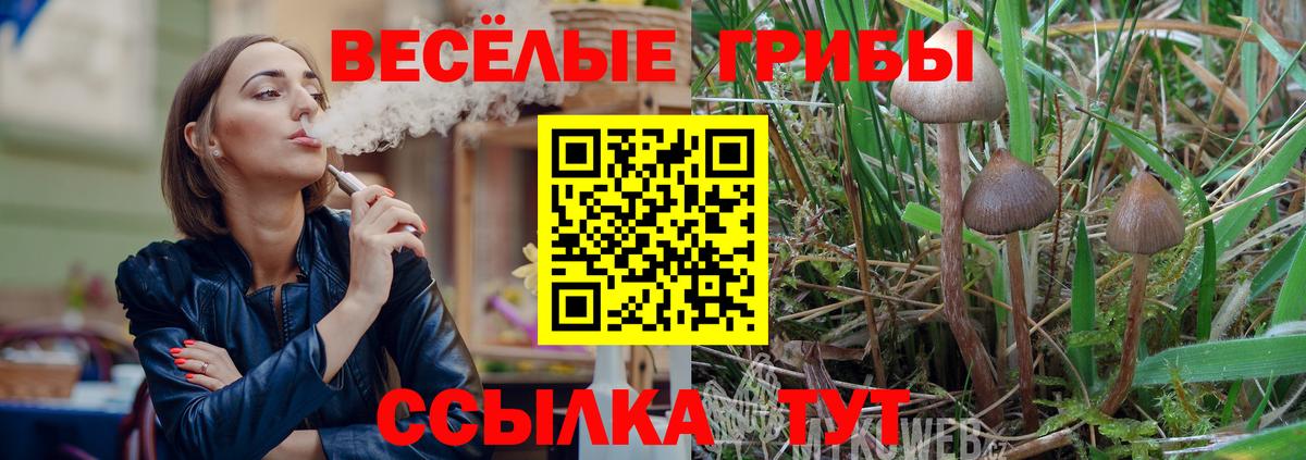 Химки  Галлюциногенные грибы ЛСД  Вход с VPN 